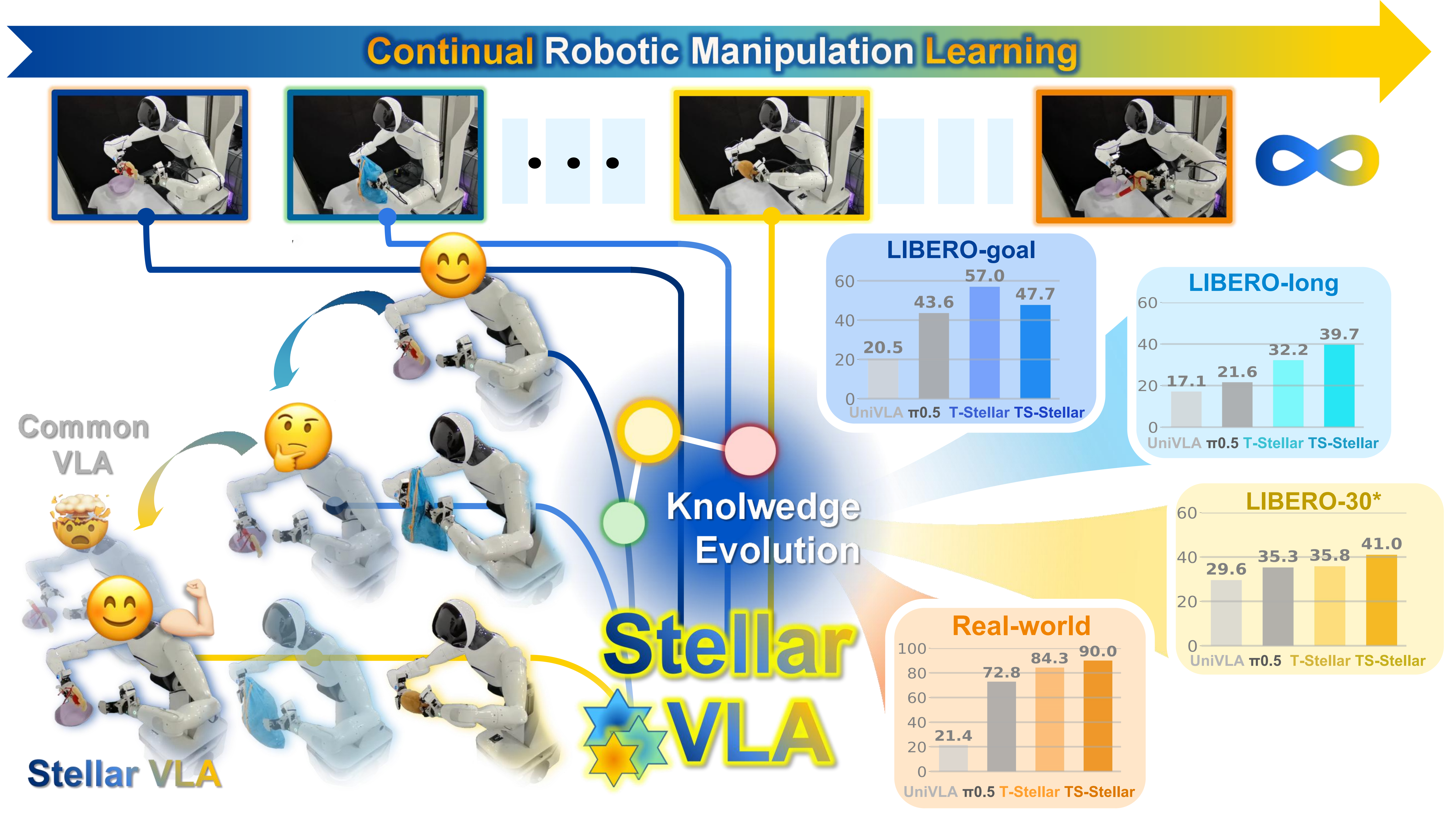 Stellar VLA motivation overview